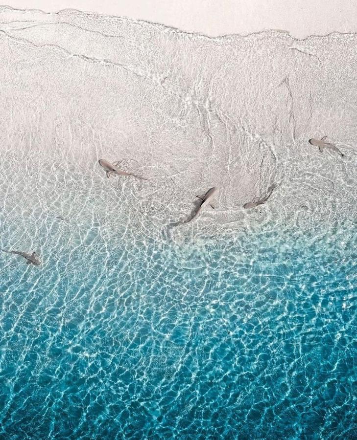 Paradise Retreat, Maafushi Dış mekan fotoğraf